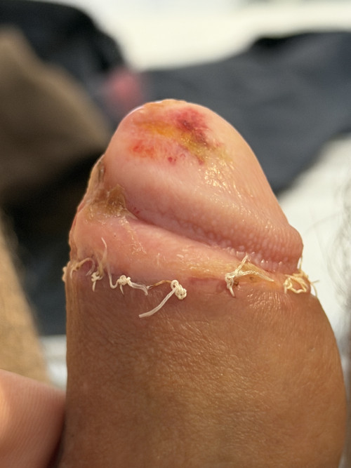 IMG_8566.jpg