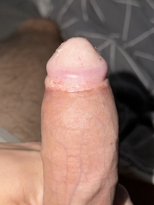 IMG_8702.jpg