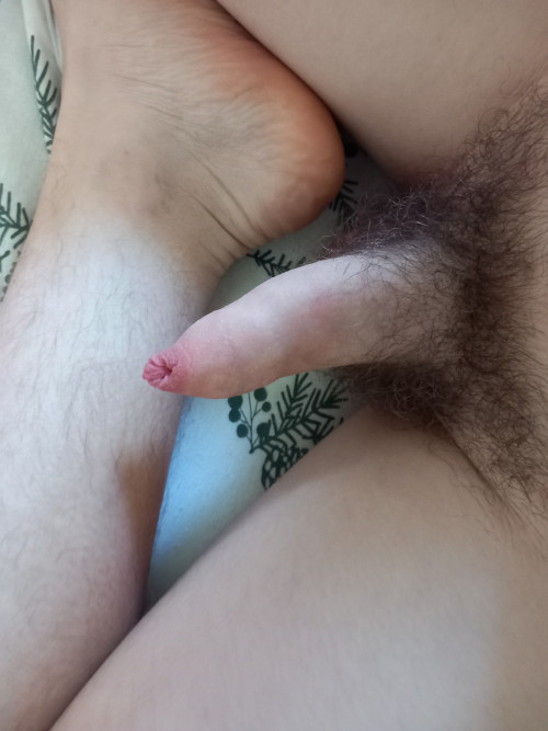 4398.jpg