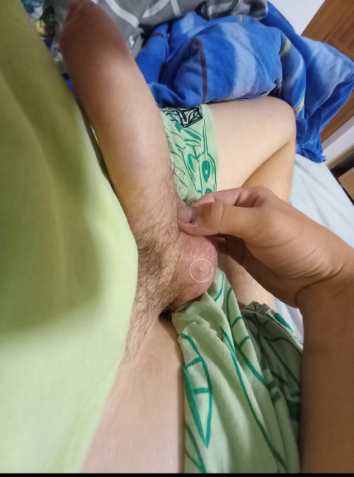 4616.jpg