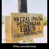kobieta-o-chlodnym-spojrzeniu--kopia